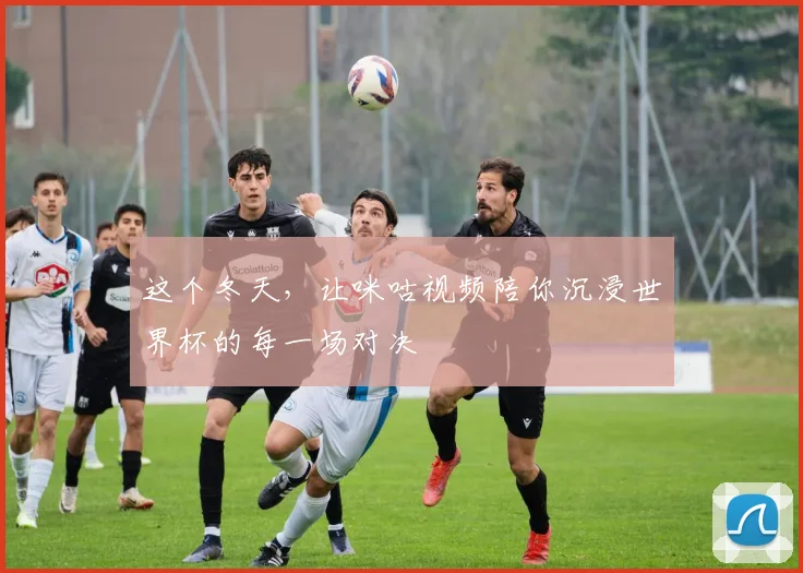 这个冬天，让咪咕视频陪你沉浸世界杯的每一场对决