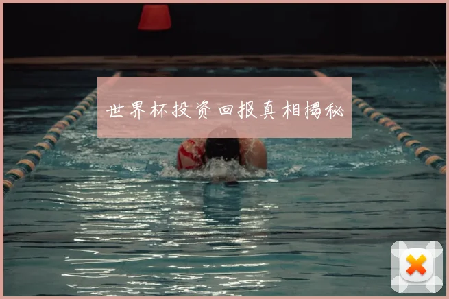 世界杯投资回报真相揭秘