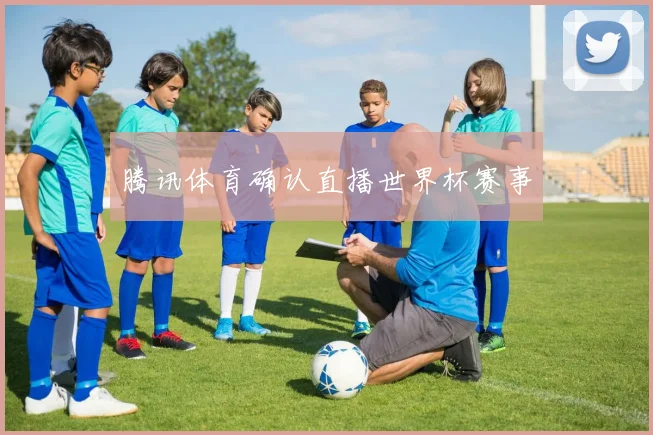 腾讯体育确认直播世界杯赛事