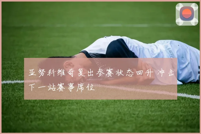 亚努科维奇复出参赛状态回升 冲击下一站赛事席位