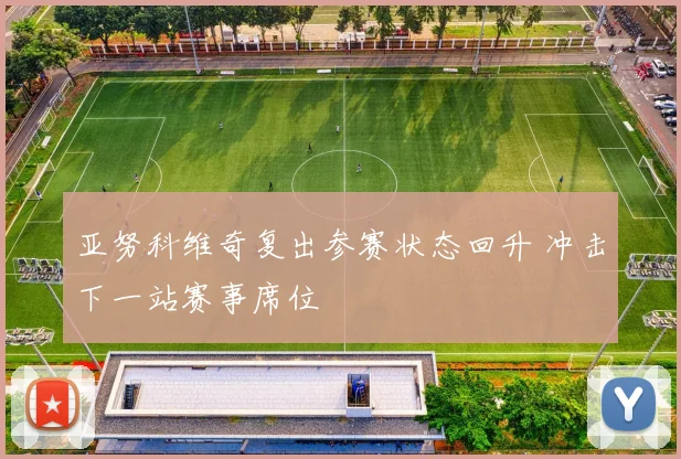 亚努科维奇复出参赛状态回升 冲击下一站赛事席位