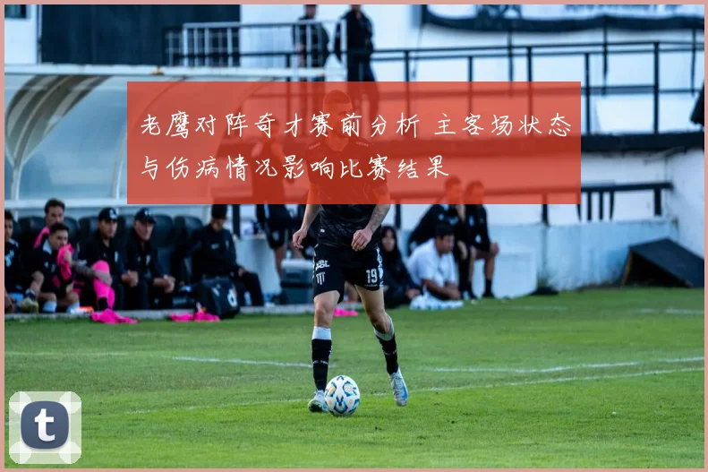 老鹰对阵奇才赛前分析 主客场状态与伤病情况影响比赛结果
