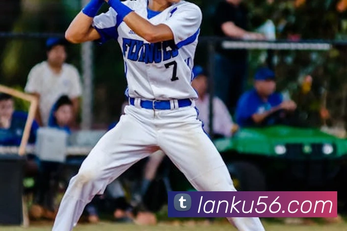 华体在线登录入口APP 封面图